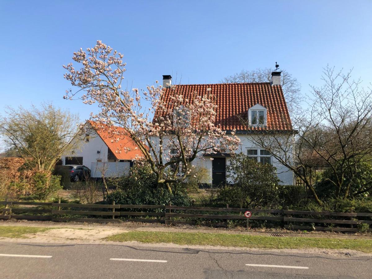 Bed and Breakfast Horse&Hound Riethoven Exterior foto