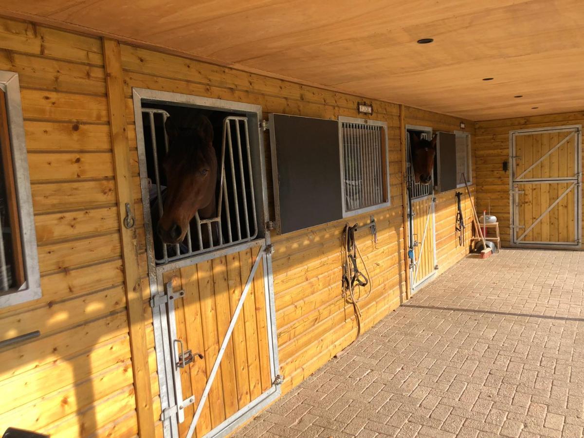 Bed and Breakfast Horse&Hound Riethoven Exterior foto