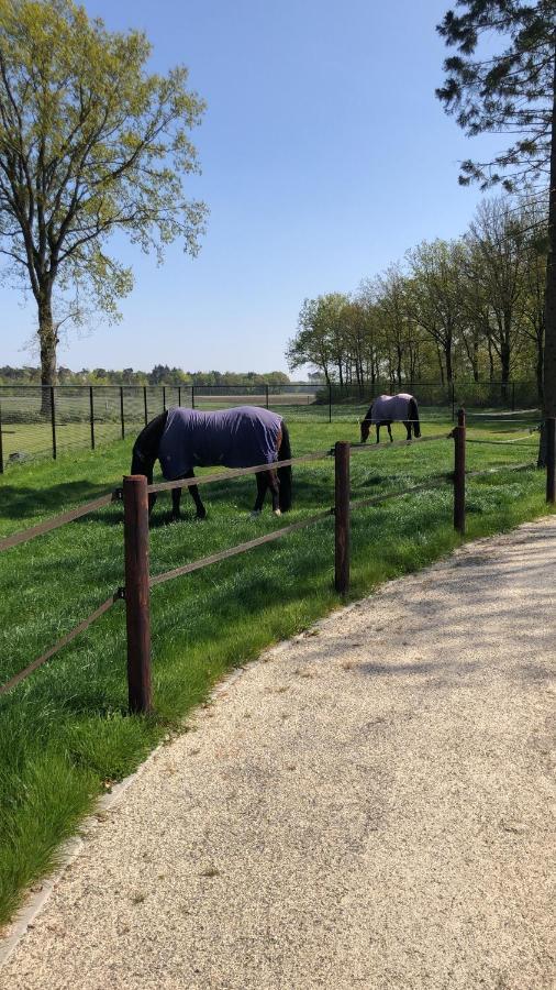 Bed and Breakfast Horse&Hound Riethoven Exterior foto