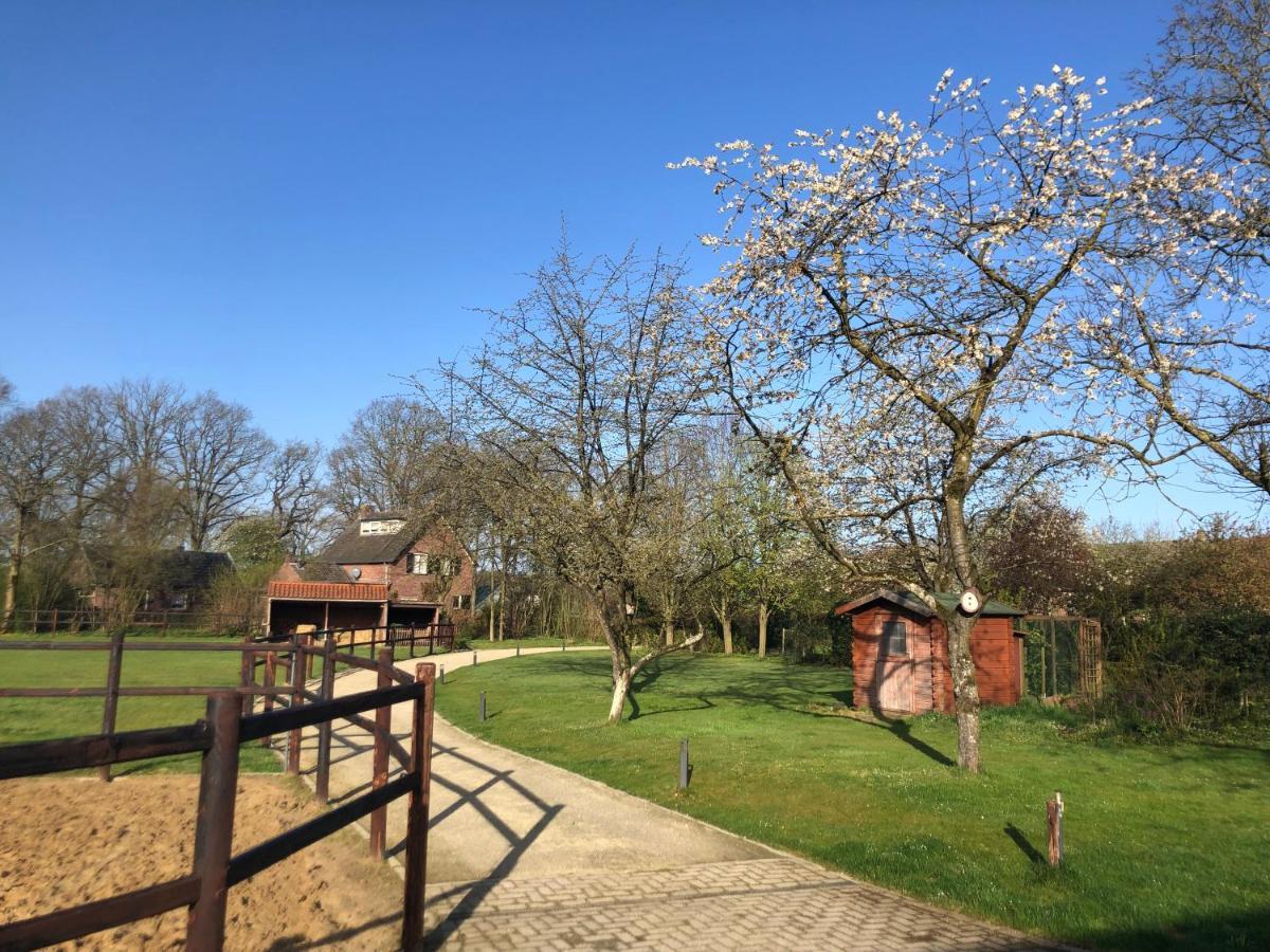Bed and Breakfast Horse&Hound Riethoven Exterior foto