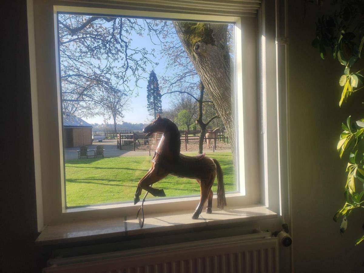 Bed and Breakfast Horse&Hound Riethoven Exterior foto