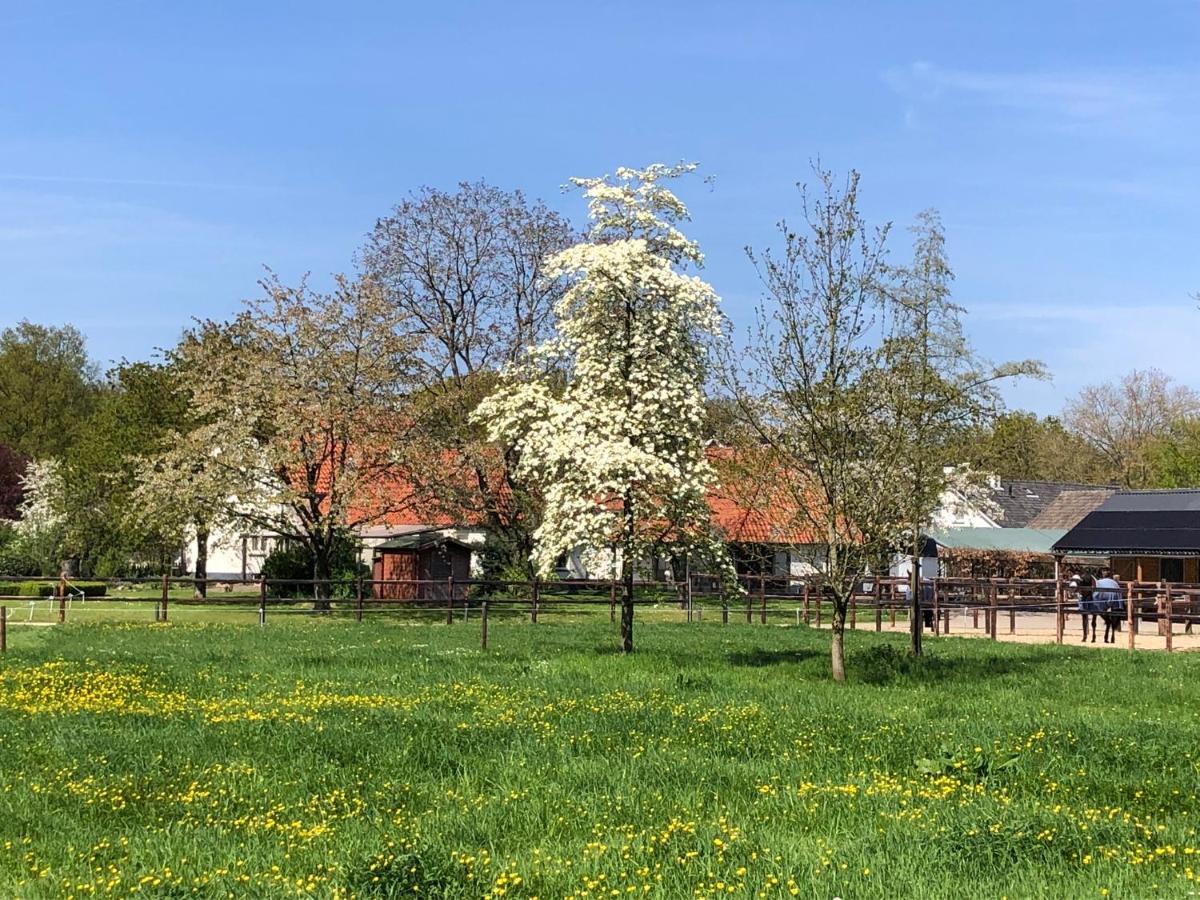 Bed and Breakfast Horse&Hound Riethoven Exterior foto