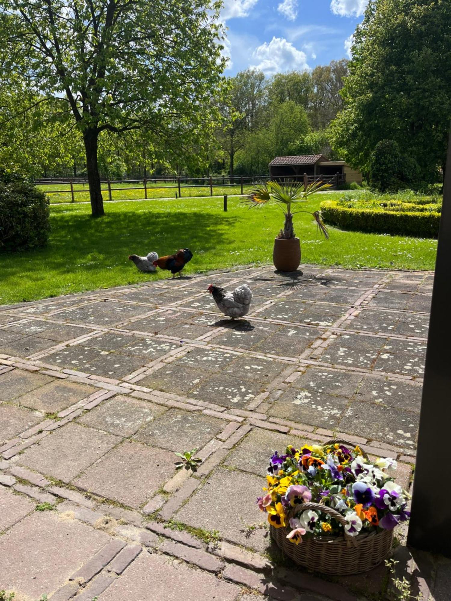 Bed and Breakfast Horse&Hound Riethoven Exterior foto